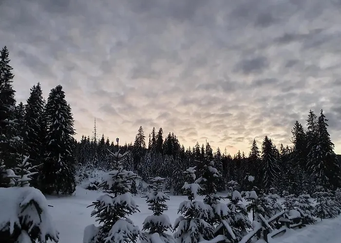 Osada Antalowka Appartement *